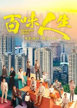 雾港往事 热播电视剧全集免费观看